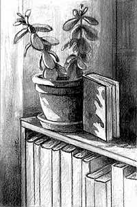 Jade Plant with Book image: 