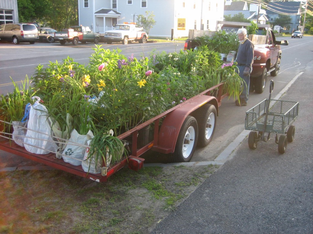 Plants arrive!